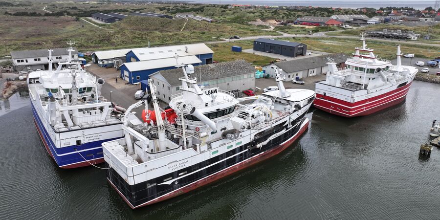 Nyhedsbrev Hvide Sande Havn juni 2025