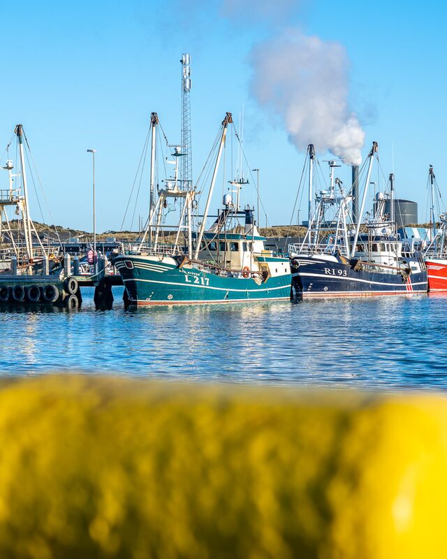 Nyhedsbrev Hvide Sande Havn oktober 2025