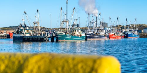 Nyhedsbrev Hvide Sande Havn oktober 2025