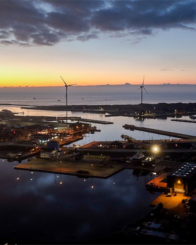 Nyhedsbrev Hvide Sande Havn juni 2025