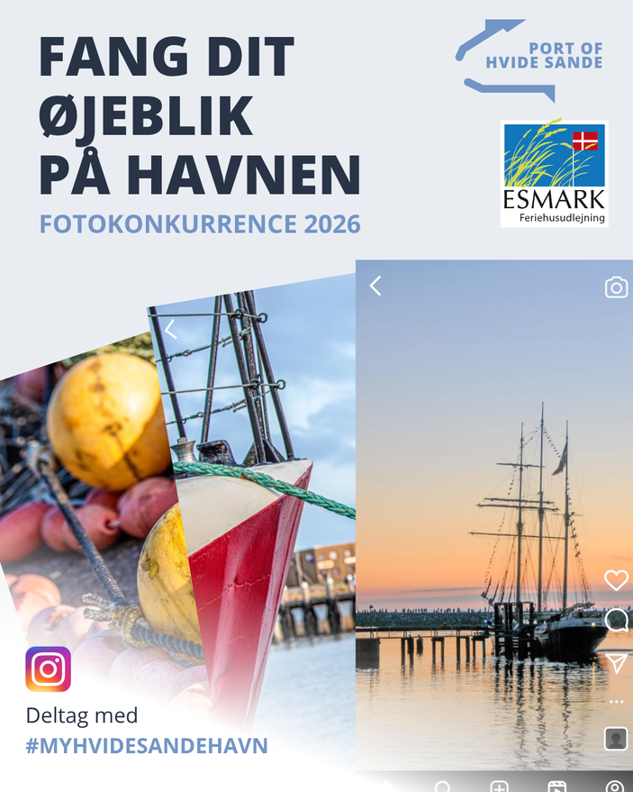 What does your Hvide Sande Port look like?